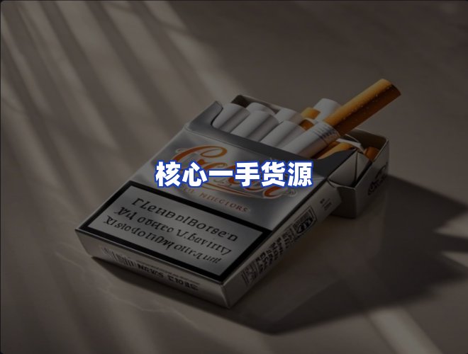 专业团队